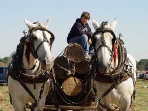 Our Field Days | Highland Rim AgResearch and Education Center